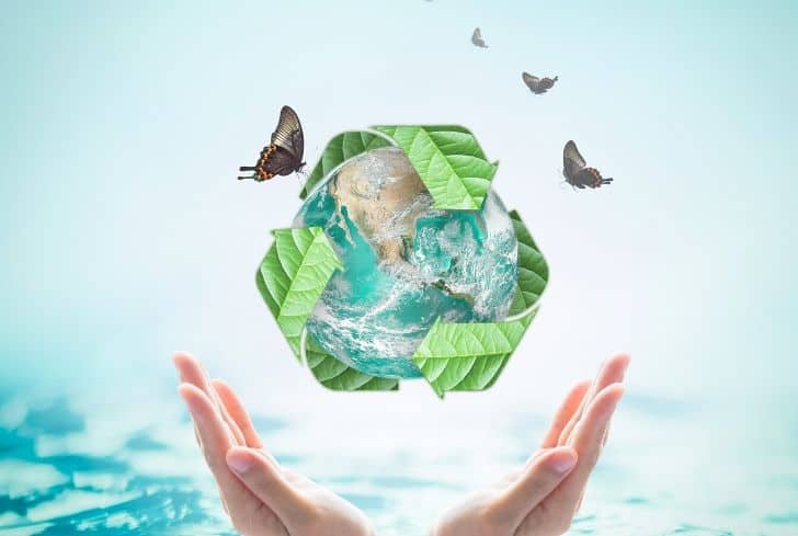Why are Recycling & Sustainability Important for Environment and Economy?